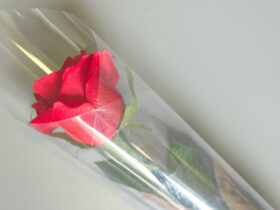 Florist Supplies - A Rose Cone